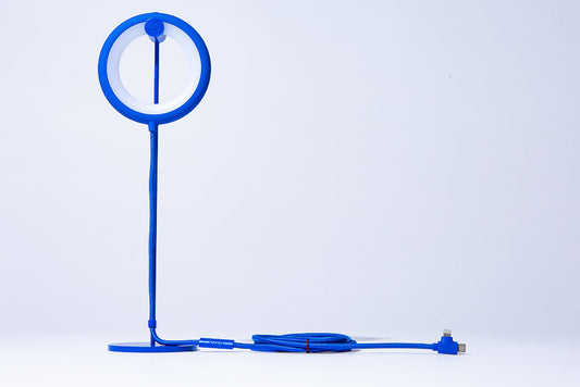 Bily Bird | Blue